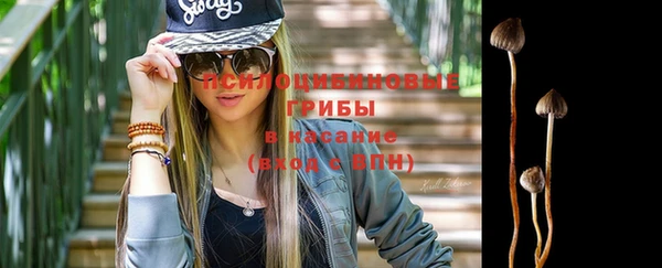соль курить ск Медвежьегорск