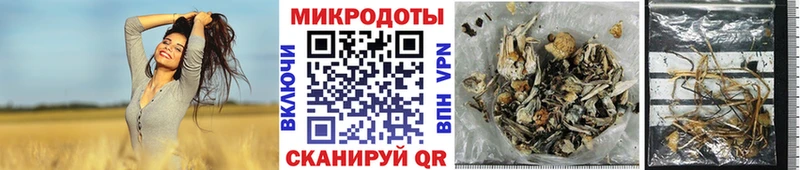 Галлюциногенные грибы MAGIC MUSHROOMS купить цена Минусинск
