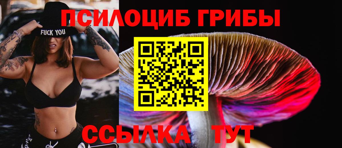 Псилоцибиновые грибы MAGIC MUSHROOMS  Вход с VPN  Минусинск 